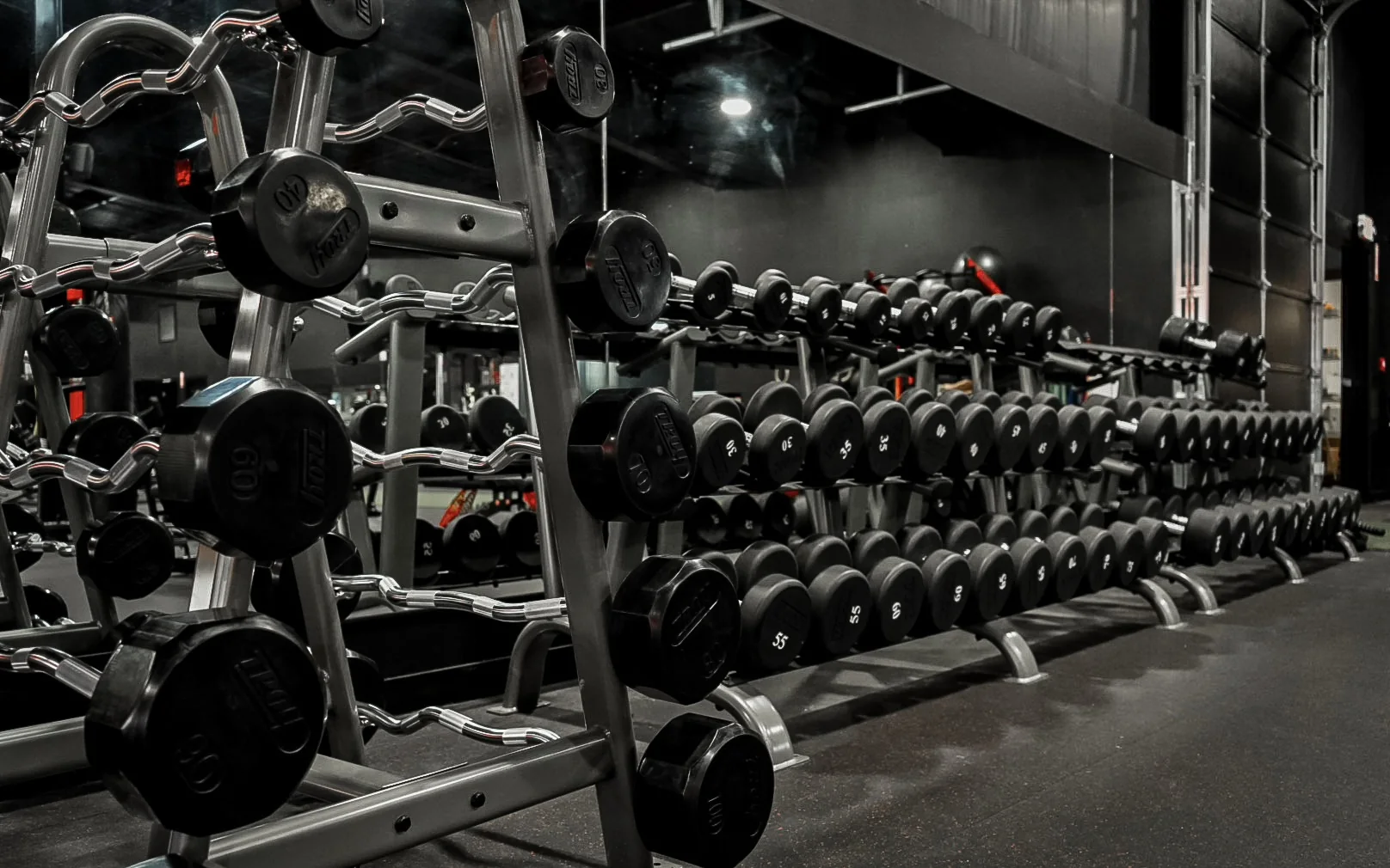 Dumbbell and free weight area at Craft Fitness